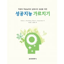 성공지능 가르치기