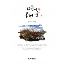 단풍이 곱던 날