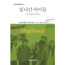 집 나간 아이들-독일 청소년 중심- 한국청소년개발원 문고 3